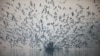 People feed seagulls from a boat at Yamuna river, on a smoggy morning in New Delhi, India November 18, 2021. 