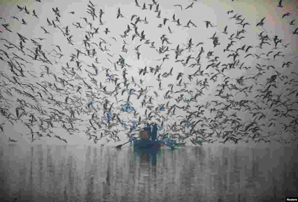 People feed seagulls from a boat in Yamuna river, on a smoggy morning in New Delhi, India.