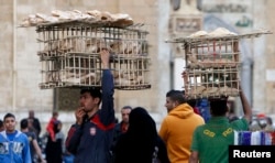 Egyptian men sell bread as they balance the trays on their heads near Al Hussein mosque in Old Cairo, Mar. 17, 2013.