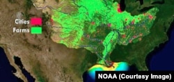 A NOAA map of the dead zone in the Gulf of Mexico. Runoff from farms and cities drains into the Mississippi River.
