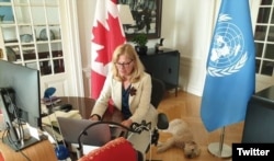 Leslie Norton, Duta Besar Kanada untuk PBB.
