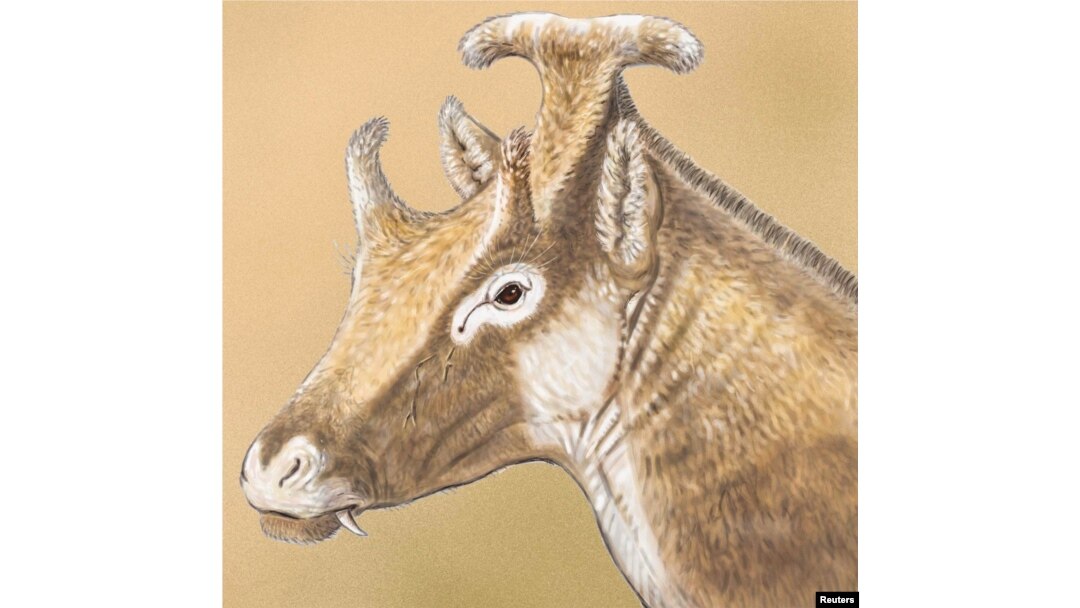 Weird Prehistoric Beast Conjures Up Images of 'Star Wars' Queen