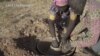 Report Sees Profit in Restoring Degraded Land