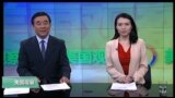 VOA卫视(2016年11月30日 美国观察)