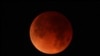Observadores esperan para avistar un eclipse lunar completo