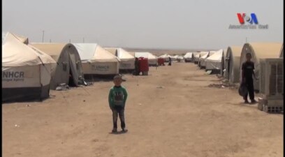 Suriye'de Sahipsiz Mülteci Kampı: Roj