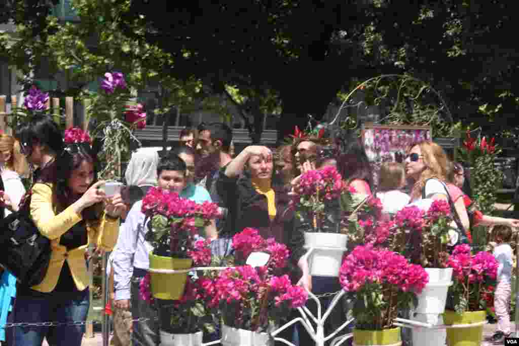 gül bayramı