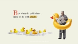 Why are politicians called lame ducks?