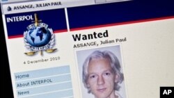 Página de Interpol, con el rótulo de "Wanted" (requerido), con la foto de Julian Assange.