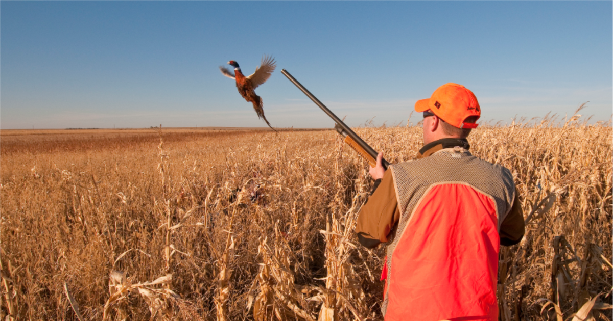 Italiya porno yulduzi Ciocolina Porno onlayn tomosha: qaynona bilan kuyov