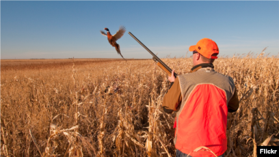 Semiz ayollar it uslubi Monster fantastik jinsiy aloqa videolar