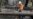 California Braces for Powerful Winds, Wildfire Danger