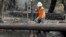 FILE - In this Oct. 18, 2017, photo, a Pacific Gas & Electric worker replaces power poles destroyed by wildfires in Glen Ellen, Calif. The National Weather Service has issued warnings for increased fire risk across a swath of Northern California on Oct. 14-15, 2018.