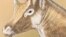 An artist' illustration shows a reconstruction of Xenokeryx amidalae, meaning "strange horn of Amidala," in this image released Dec. 2, 2015. 