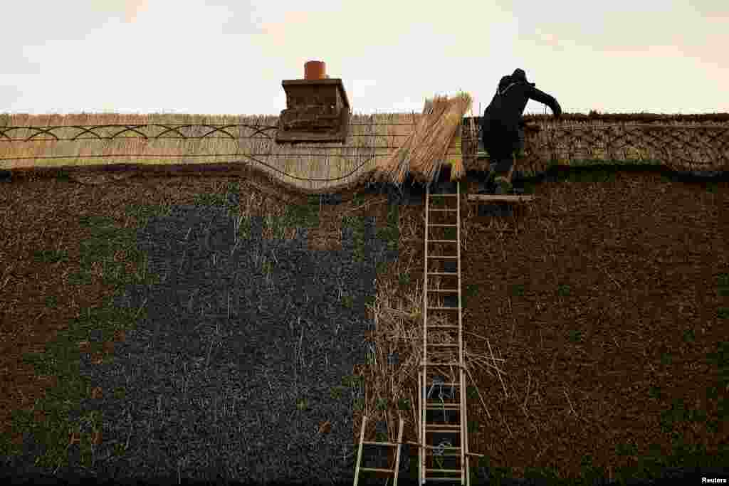 Thatcher Micheal Fahy repairs the comb of the roof on a 200-year-old cottage in Galway, Ireland, Feb. 10, 2021.