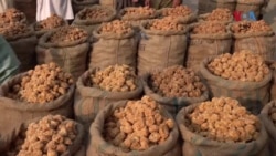 د چینو زیاتو بیېو له سببه په د زمیندارو سمې ګوړې بازراونو ته رارسیدلي