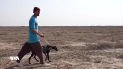 ڕاوچییە کوردەکان بۆ ڕاوکردن ڕوو لە ناوچەکانی ژێر دەسەڵاتی حکومەتی ناوەندی عێراق دەکەن