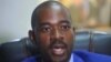 Nelson Chamisa
