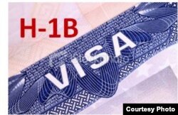 Detail of an H-1B visa