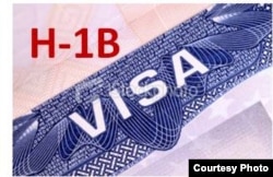 H-1B visa