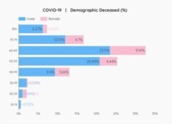 پاکستان میں ہلاکتوں کی شرح