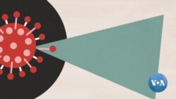 How COVID-19 Vaccines Being Tested Work