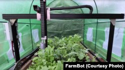FarmBot can water plants.