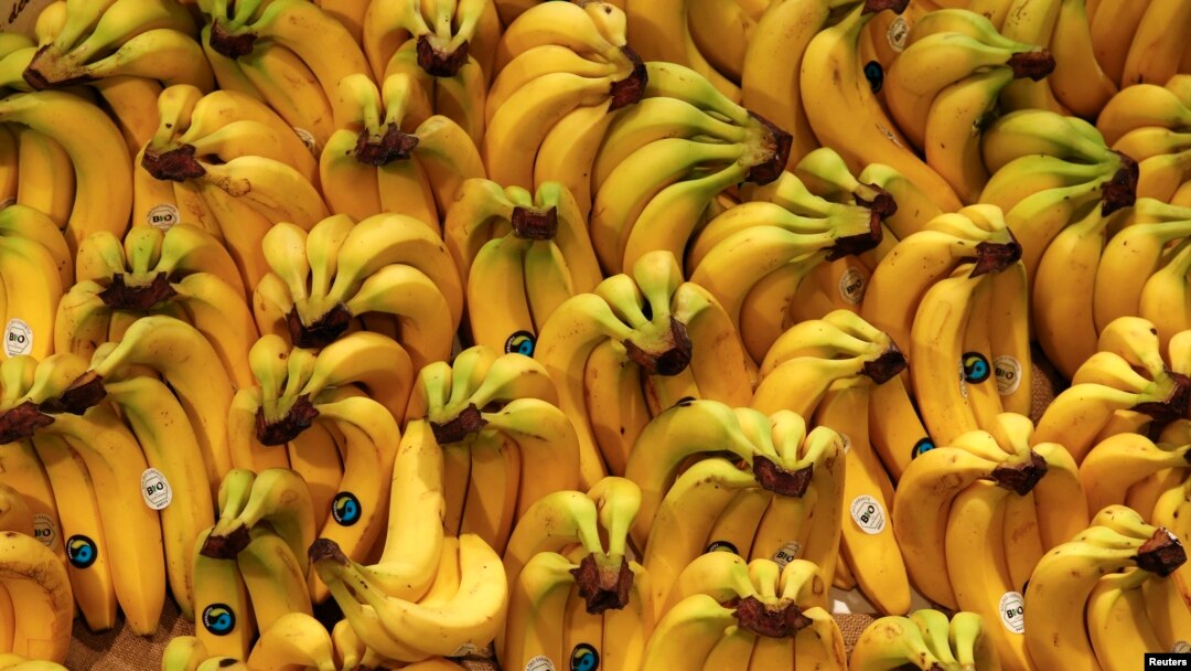 Banana Protein May Be Virus Killer