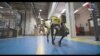 Ford Puts Robotic Dog to Work