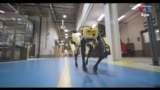 Ford Puts Robotic Dog to Work