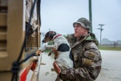 A member of the New Zealand Defense Force rescues a dog from floods as they assist a family with their evacuation near Ashburton in New Zealand's South Island, Sunday May 30, 2021.