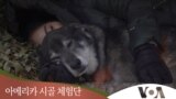 시골체험단 로키산맥