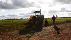 La exportación de productos agrícolas es una de las pocas actividades comerciales que no ha sido tan afectada por la pandemia.