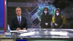 اخبار شامگاهی