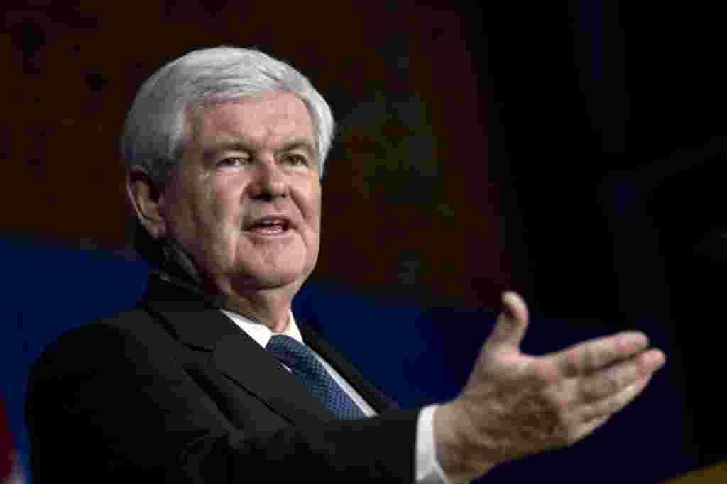 Bakal calon presiden Partai Republik Newt Gingrich berbicara di sebuah acara kampanye di Columbus, Ohio (7/2) (AP).