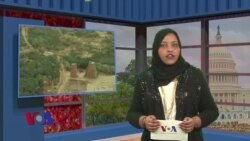 Qubanaha VOA, Nov 15, 2013