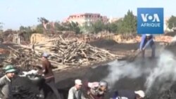 Ces courageux Egyptiens artisans du charbon de bois