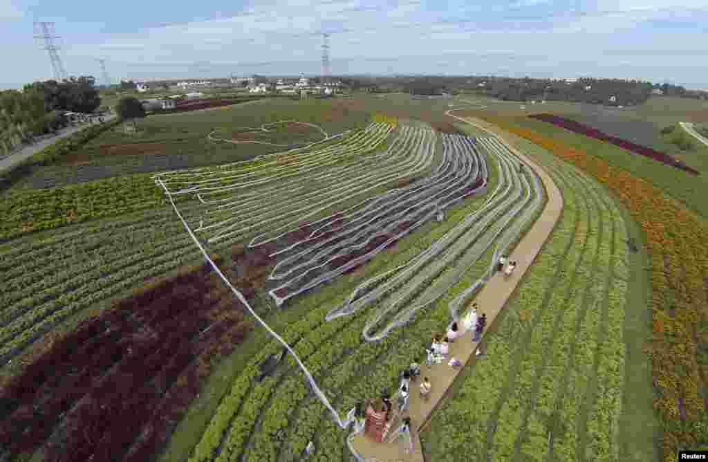 A view of a 4,100-meter-long wedding dress train trailed along shrubs and forming a heart shape (top), during a promotional event for tourism in a valley in Chengdu, Sichuan province, China, Sept. 24, 2014. 