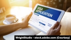 온라인 비자 신청서 (그래픽 이미지)