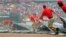 Members of the St. Louis Cardinals grounds crew pull the tarp over the infield as it rains during the first inning of a baseball game against the Minnesota Twins, in St. Louis, June 16, 2015.