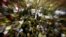 In this zoom effect photo taken with a slow shutter speed, supporters of Egypt's ousted President Mohammed Morsi gather during a demonstration in front of Cairo University, where protesters have installed their camp in Giza, southwest of Cairo, Egypt, Jul