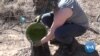 Scientific Studies Say Planting Trees Helps Mitigate Global Warming
