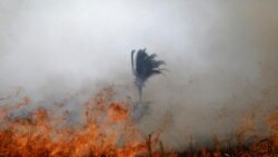 A tract of the Amazon jungle burns as it is cleared by loggers and farmers in Porto Velho on August 24, 2019.