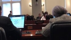 Argentina en la OEA: Lo que está pasando en Venezuela es muy grave y no nos vamos a quedar callados