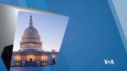 Editorial: Le Point de Vues Du Gouvernement des Etats Unis D'amerique