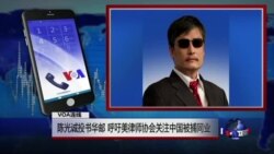 VOA连线(陈光诚)：“该是出手声援的时刻” 陈光诚吁美律师协会关注中国被捕同业