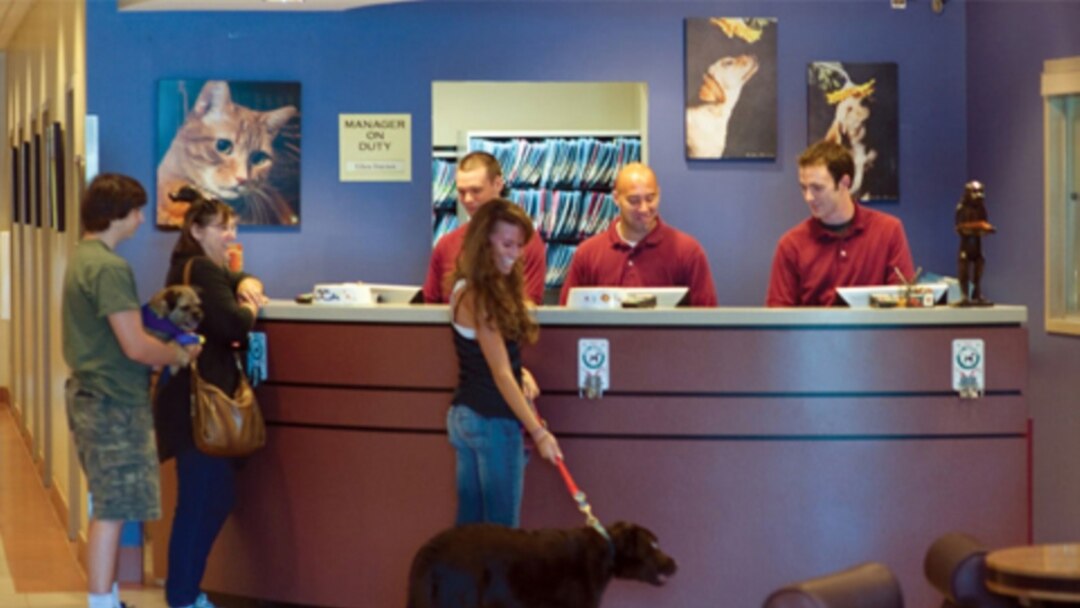 Old Towne Pet Resort in Springfield, Virginia