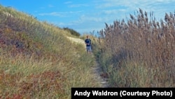 Mikah Meyer enjoyed hiking along a trail in Cape Cod, Massachusetts. The young traveler was surprised at just how much vegetation grows out of the sandy ground.