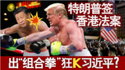 海峡论谈：特朗普签香港法案 出“组合拳”狂K习近平