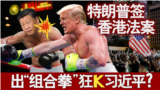 海峡论谈：特朗普签香港法案 出“组合拳”狂K习近平？ 